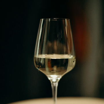 Wine Tasting Glasses