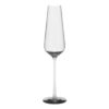 Absolute Champagne Glass Set