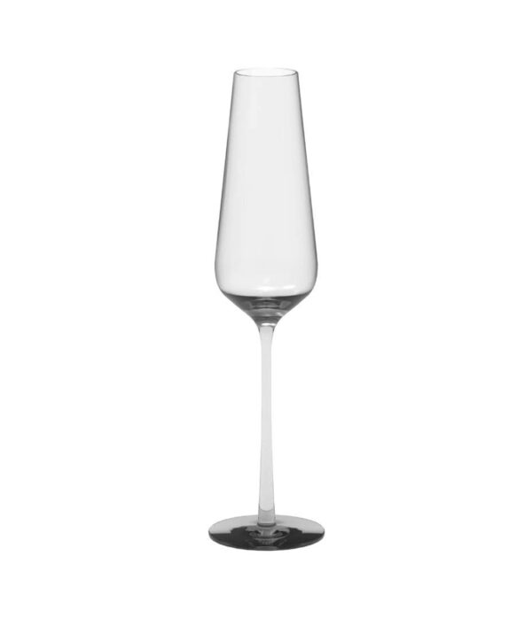 Absolute Champagne Glass Set