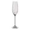 Glitz Champagne Glass Set