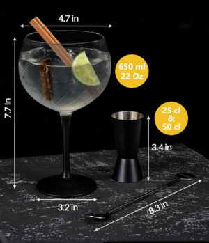 Gin Glass & Accessories Set
