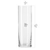 Pure Tall Highball Glass Set